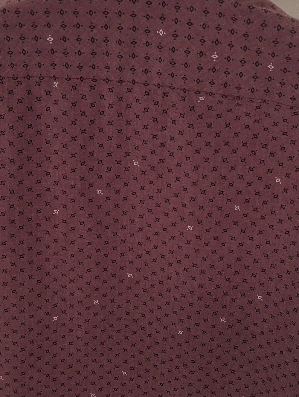 The North Face Men's Short-Sleeve Button-Down Shirt in Burgundy Microprint